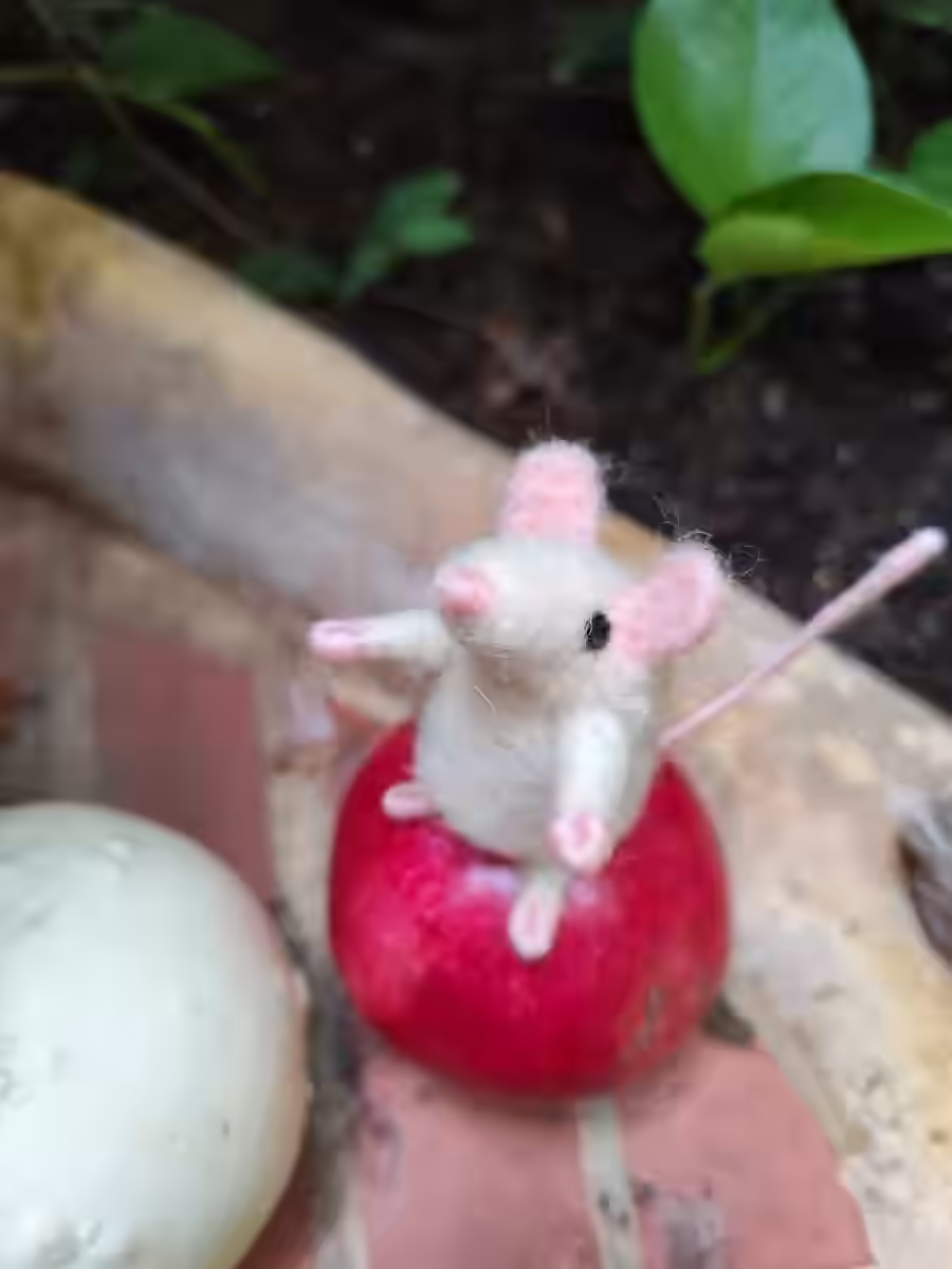 Imagen de Tejedor de Momentos Serenos