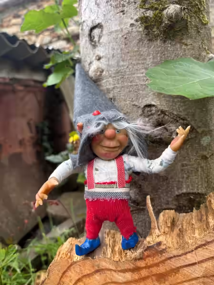 Imagen de El Chef Aventurero