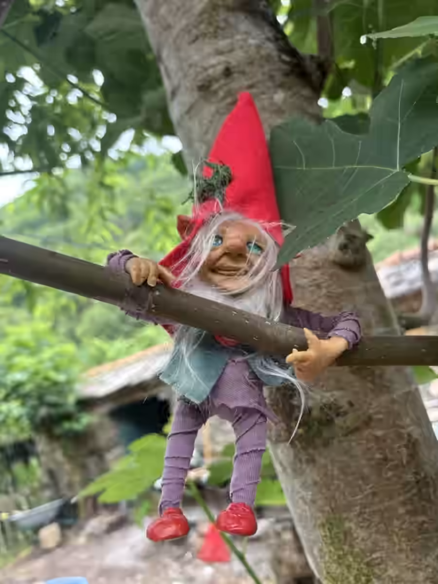 Imagen de Corazón de Jungla