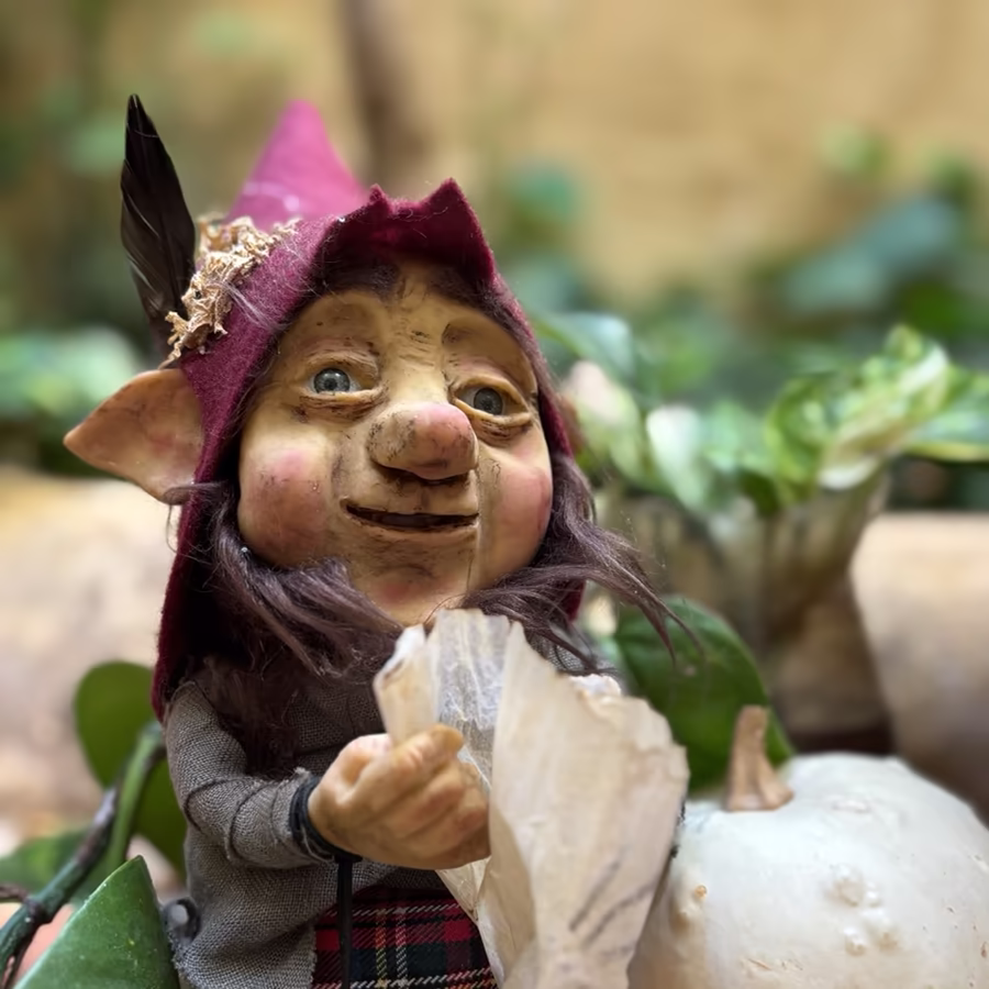 Magikito Con Pergamino Curioseando Junto A Calabaza Blanca