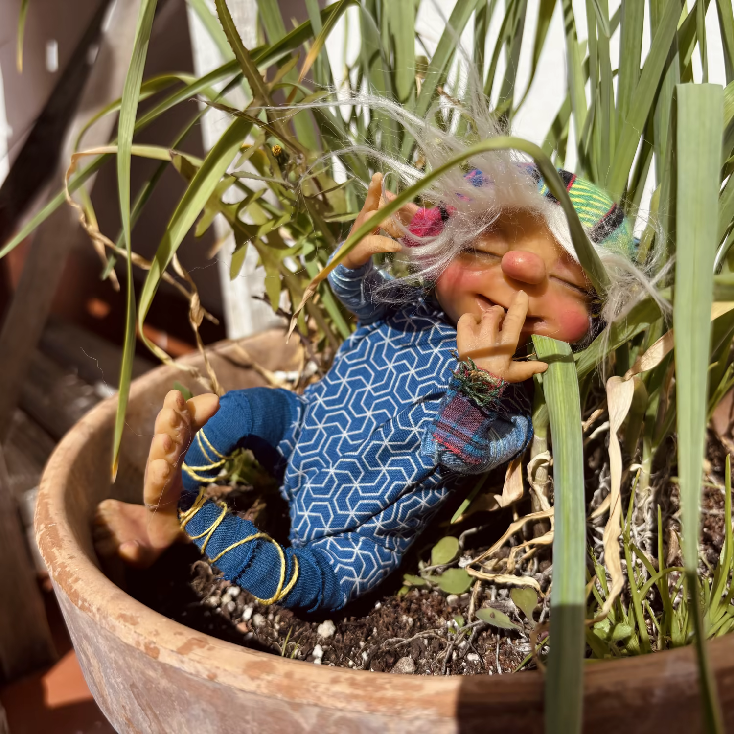 Magikito Durmiendo Maceta