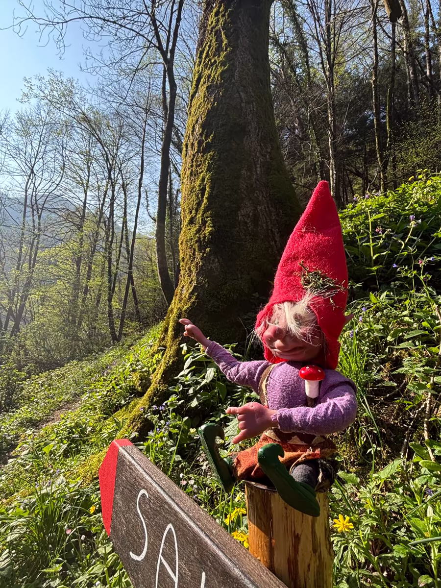 Chispa de Sabiduría