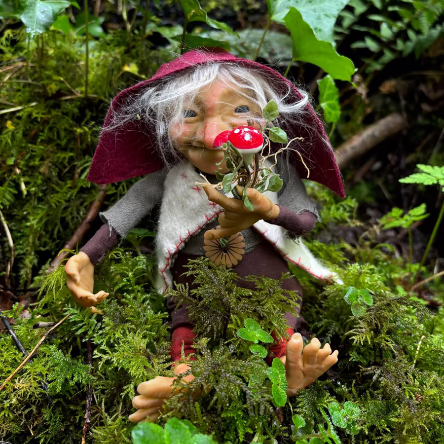 Magikito con musgo del bosque