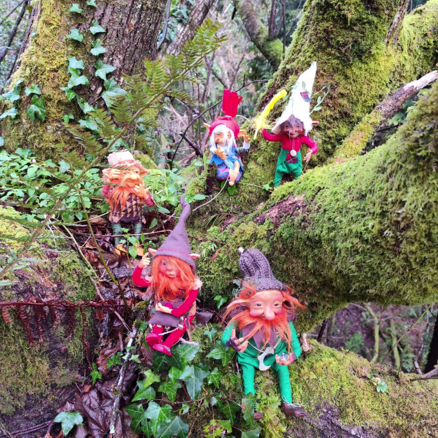 Magikitos Reunidos Bosque