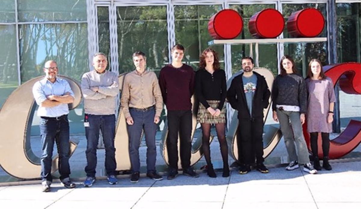 Interferón: el jefe de obra de la inflamación