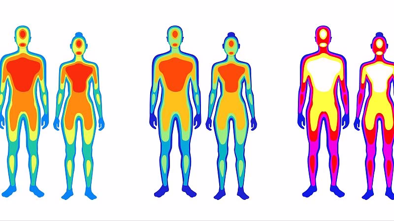 Tu piel y tus tripas no pasan el frío igual