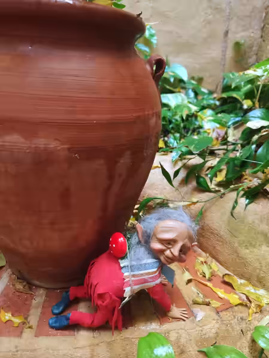 Imagen de Porteador de Setas Olvidadas