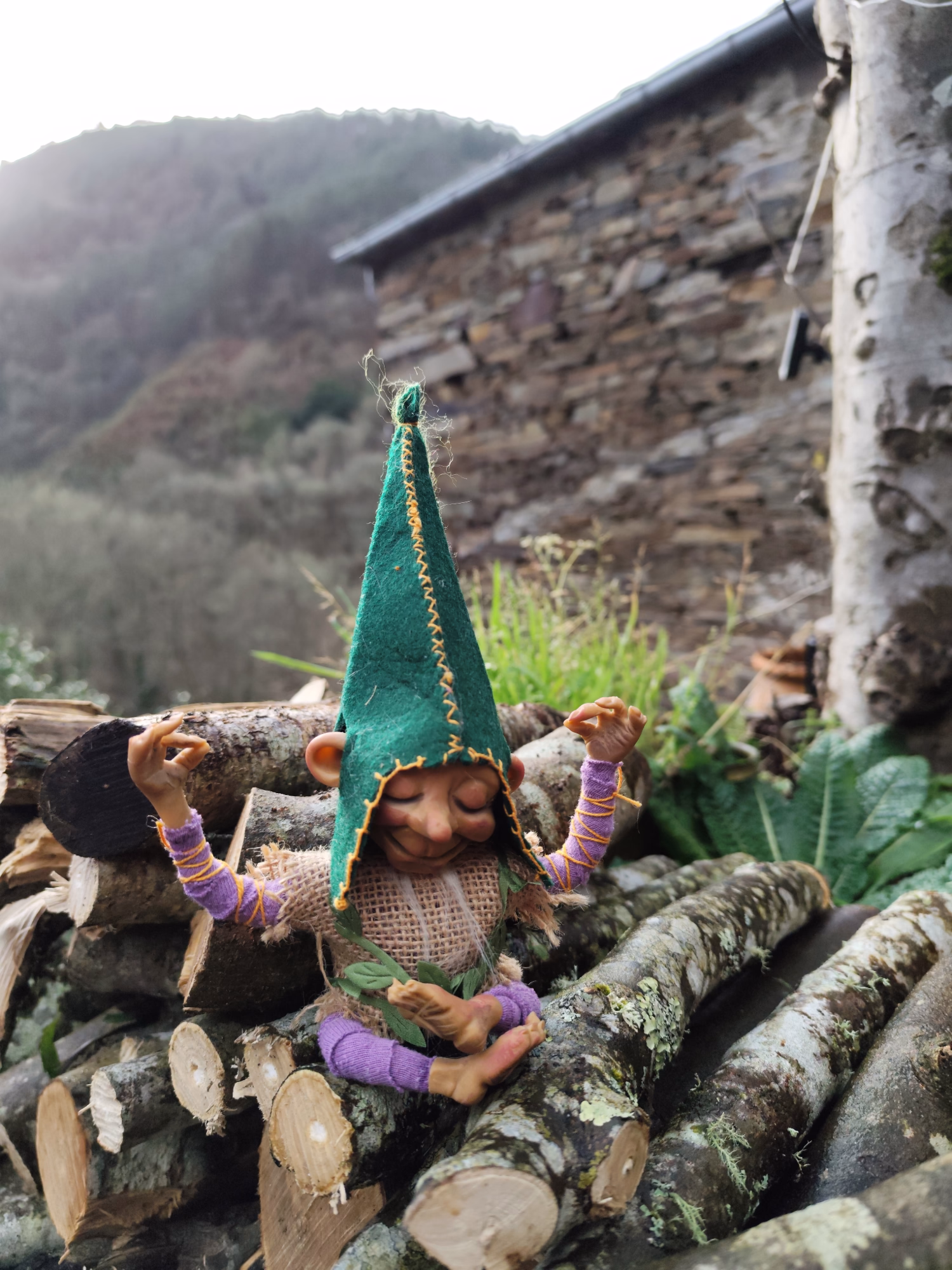 Meditador de Silencios Verdes