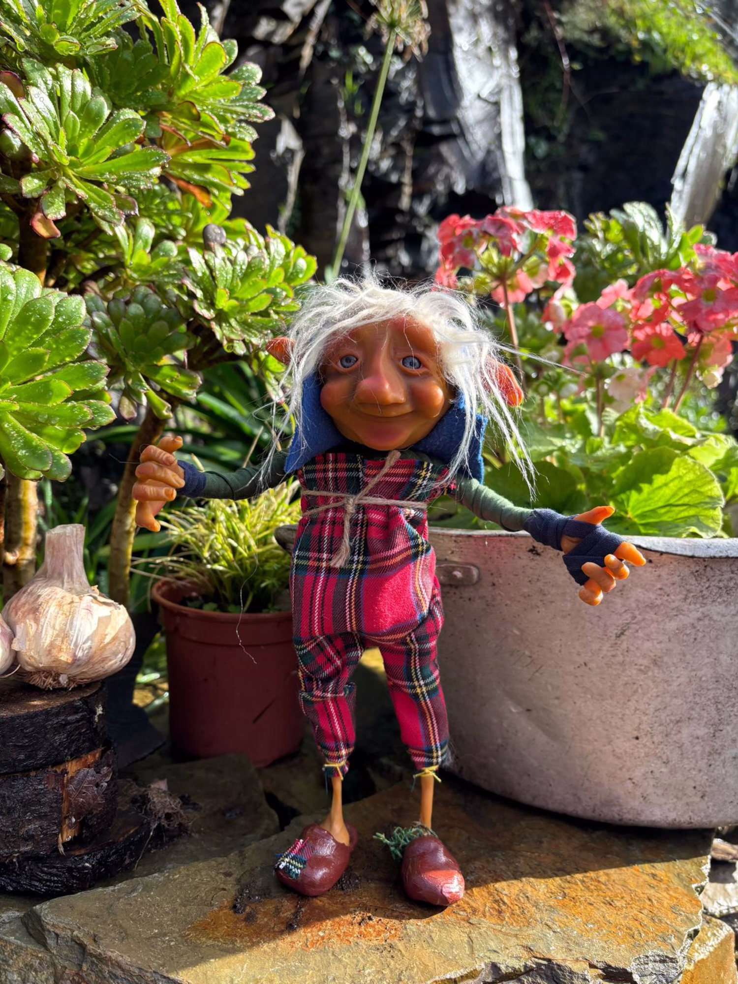 Imagen de Paseante de Flores Descalzas