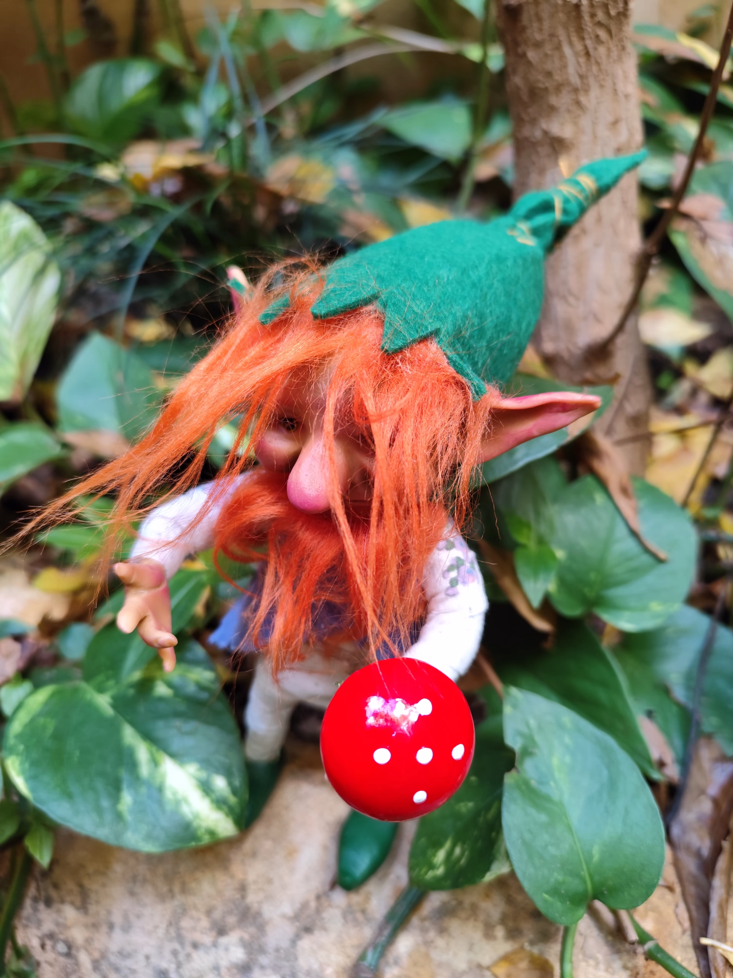 Bild von Pfiffiger Pilzsammler