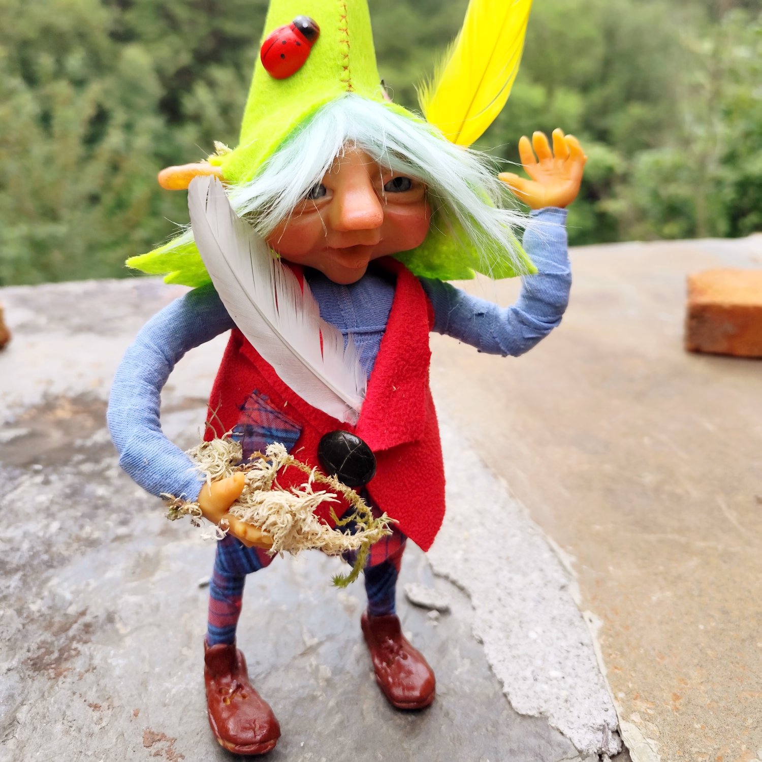 Image de Défenseur des Moustaches et des Plumes