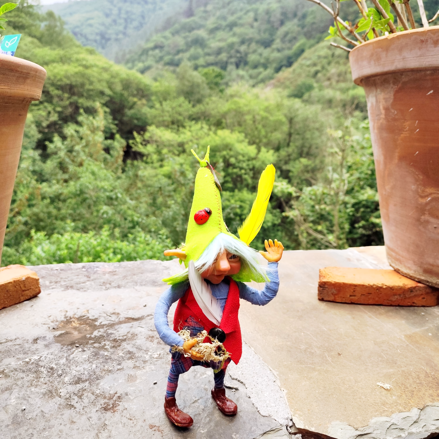 Image de Défenseur des Moustaches et des Plumes