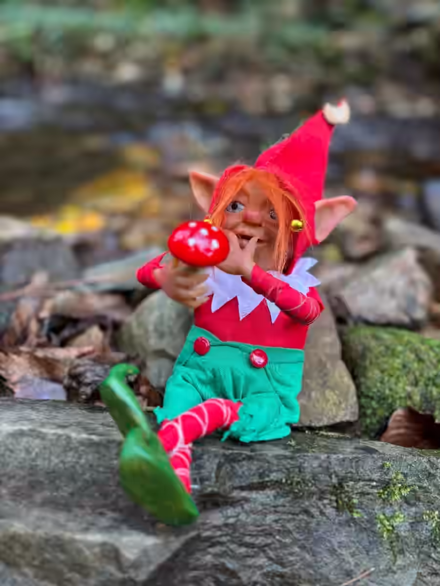 Imagen de Recogedor de Sueños Navideños